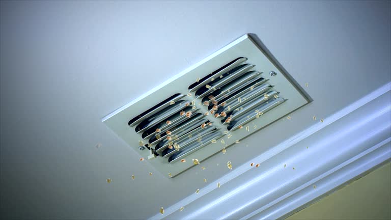 Best Affordable Air Duct Cleaning  in Southside, AR