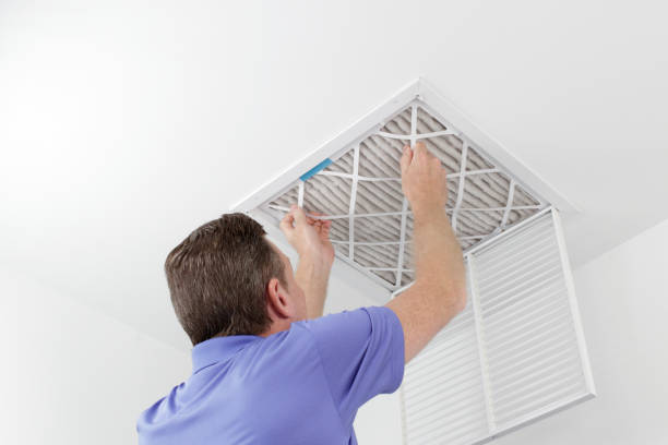 Best Local Air Duct Cleaning Services  in Southside, AR